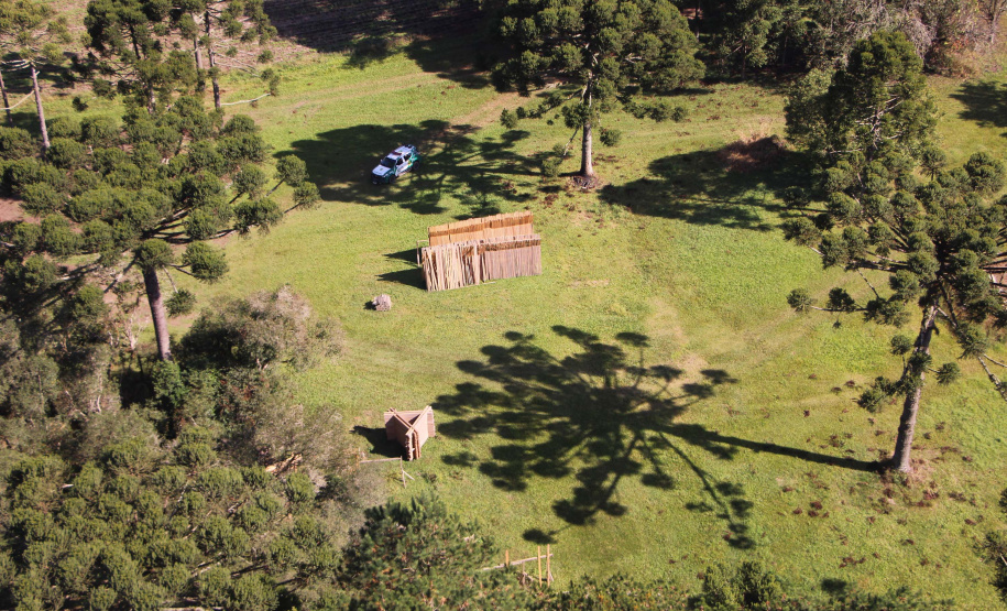 Polícia Militar apreende madeira ilegal durante operação no Sul do Paraná