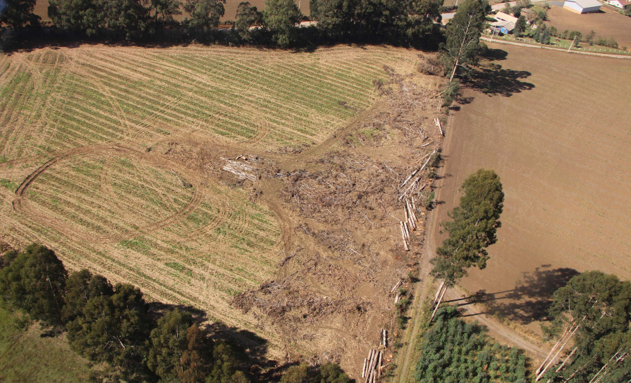 Polícia Militar apreende madeira ilegal durante operação no Sul do Paraná