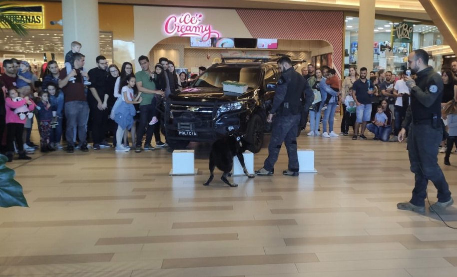 PCPR atende mil pessoas em evento de conscientização sobre drogas na Capital