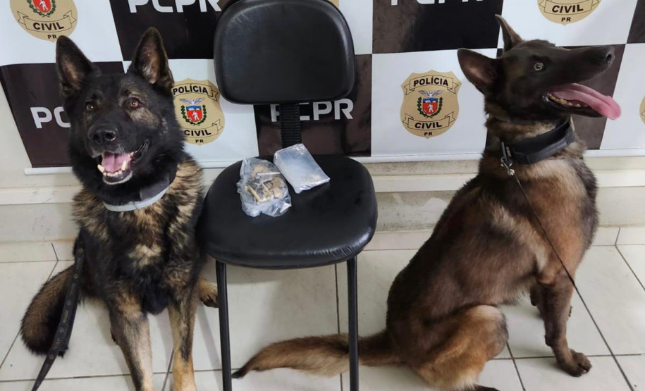 PCPR prende três pessoas em operação contra tráfico de drogas e falsificação de dinheiro
