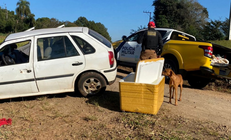 Polícia Militar apreende mais de 700 quilos de droga no Interior