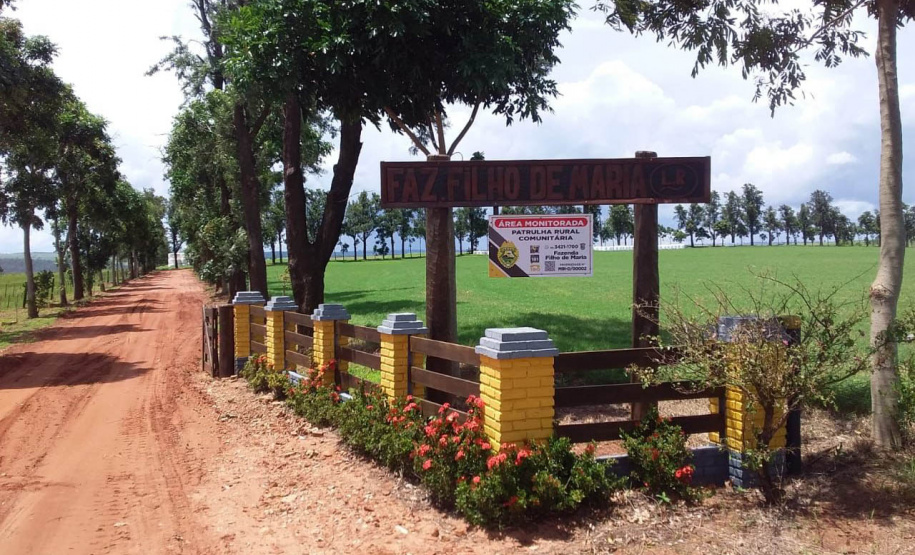 Em um ano, Patrulha Rural registra aumento de 300% nas apreensões de armas no Paraná