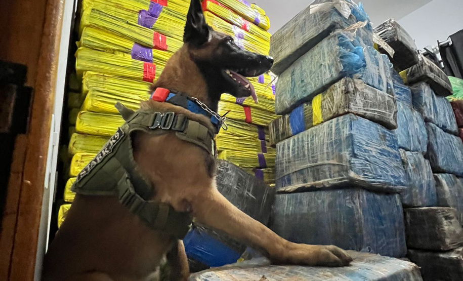 Polícia Militar apreende quase 4 toneladas de droga em Pato Bragado