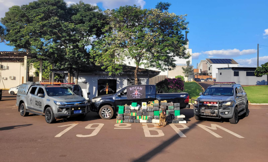 Forças de segurança apreendem 188 toneladas de maconha no 1º semestre, recorde em dez anos