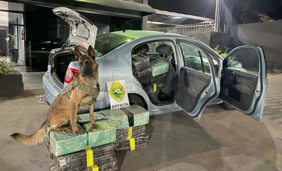 Polícia Militar apreende quase meia tonelada de maconha em operação na PR-317