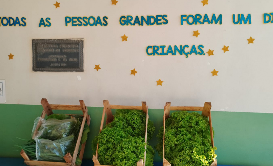 Projeto Semear, da Polícia Penal, fornece produtos orgânicos a escola de Foz do Iguaçu