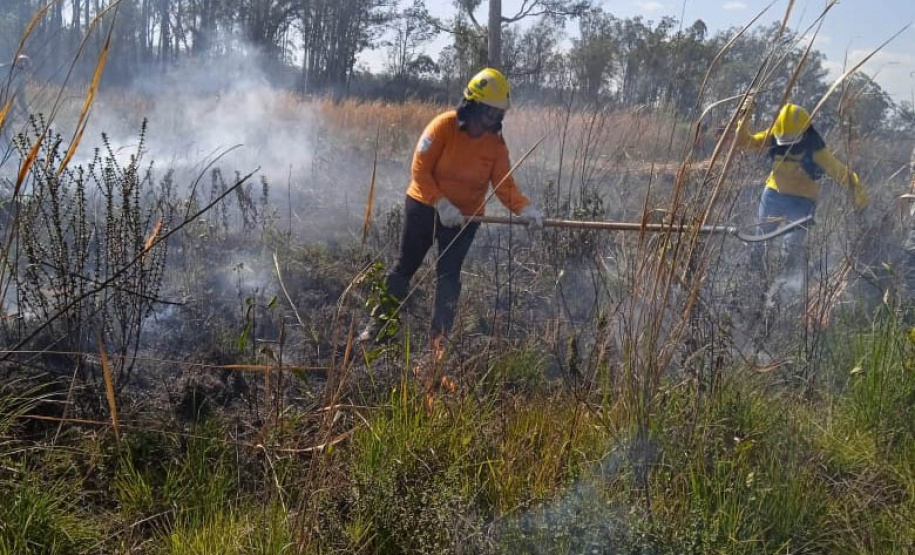 Brigadistas indígenas ajudam a conservar o patrimônio natural do Paraná