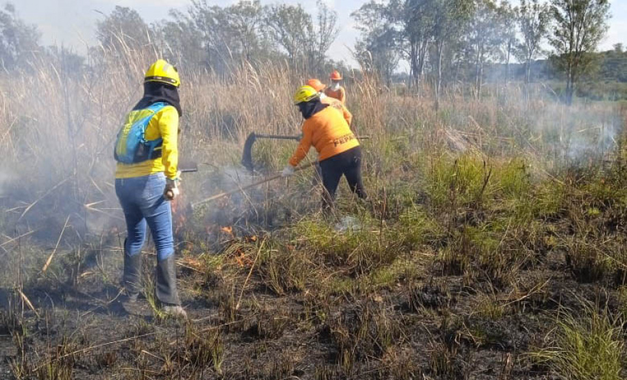 Brigadistas indígenas ajudam a conservar o patrimônio natural do Paraná
