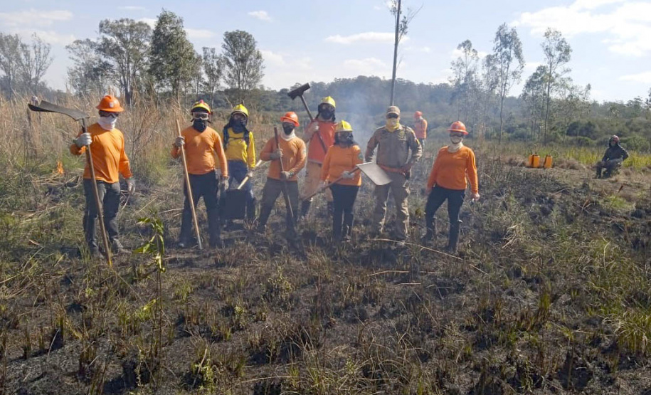 Brigadistas indígenas ajudam a conservar o patrimônio natural do Paraná