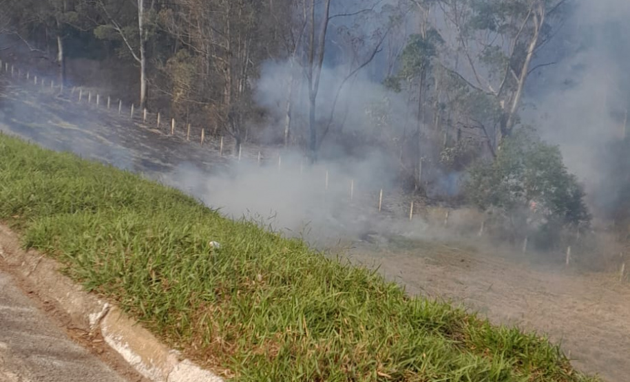 Brigadistas indígenas ajudam a conservar o patrimônio natural do Paraná