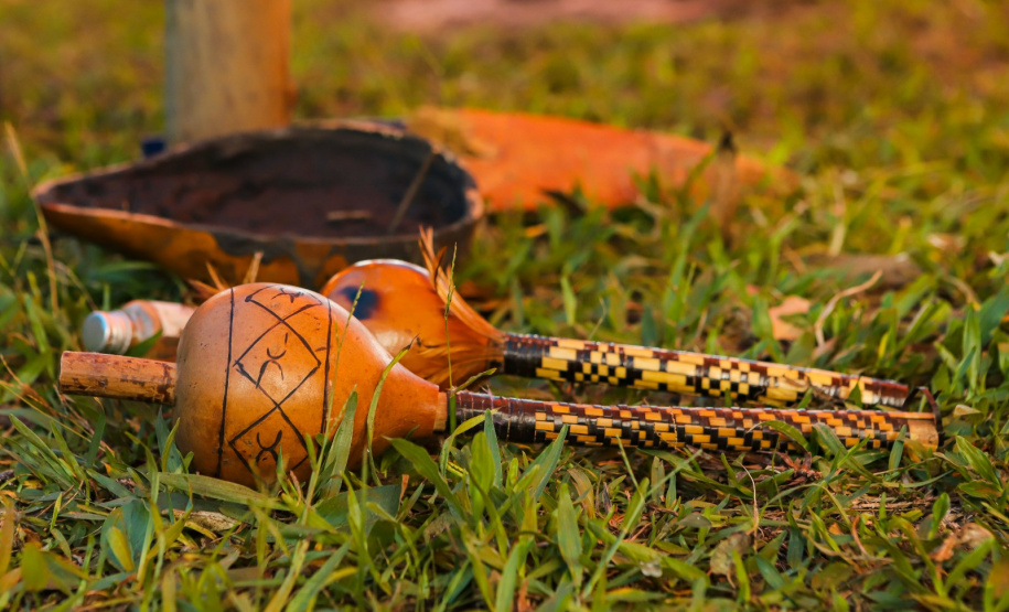 Brigadistas indígenas ajudam a conservar o patrimônio natural do Paraná