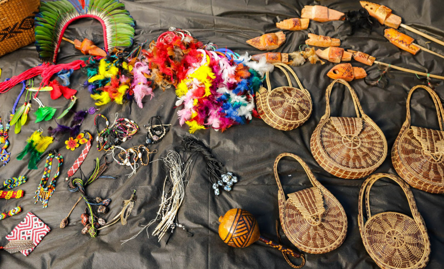 Brigadistas indígenas ajudam a conservar o patrimônio natural do Paraná