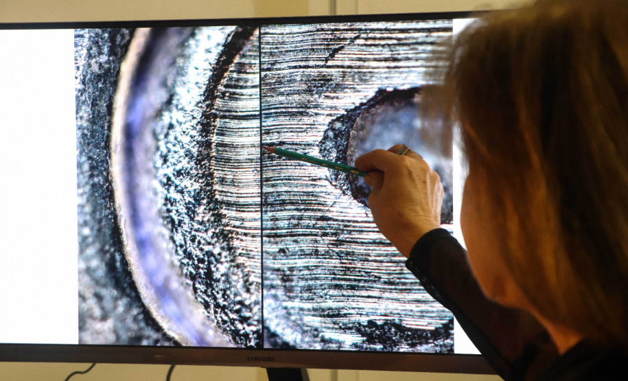 Polícia Científica do Paraná já colaborou com 94 investigações criminais em sistema nacional