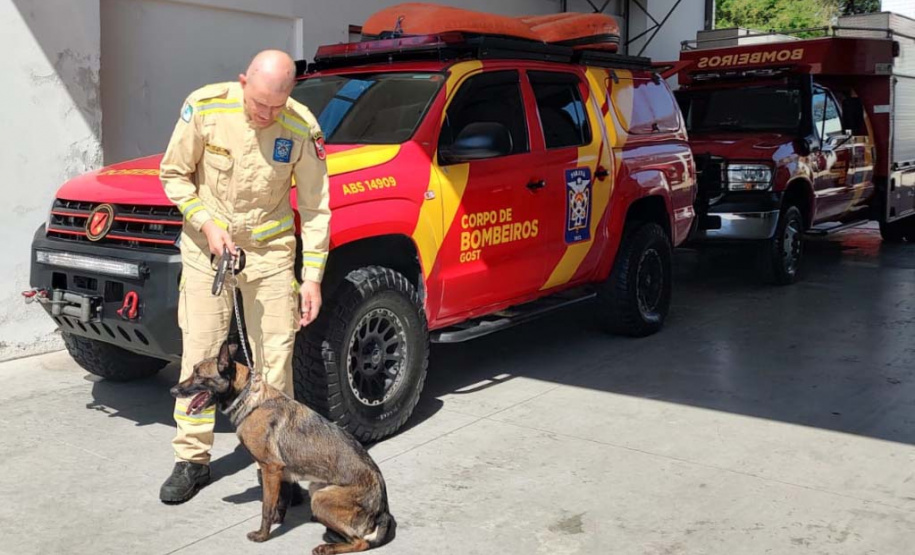 Bombeiro paranaense relata experiência no RS e reforça que operação é extremamente difícil