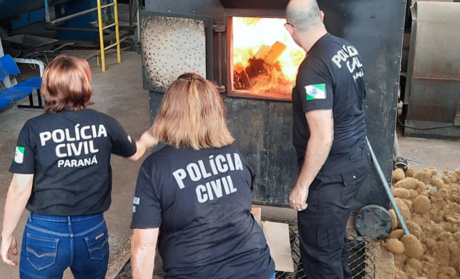 PCPR incinera 900 quilos de drogas em Maringá