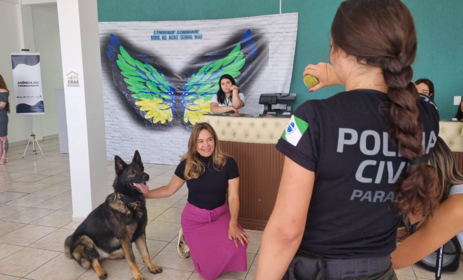 PCPR confecciona 375 carteiras de identidade em ação de cidadania em Campo Largo