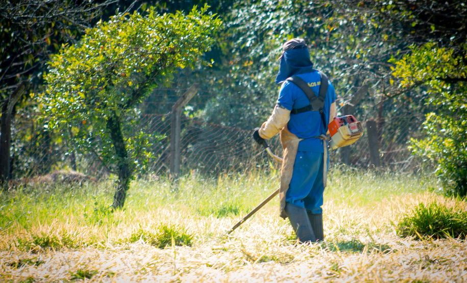 Programa de reparos e limpeza nas escolas promove reinserção de mulheres apenadas