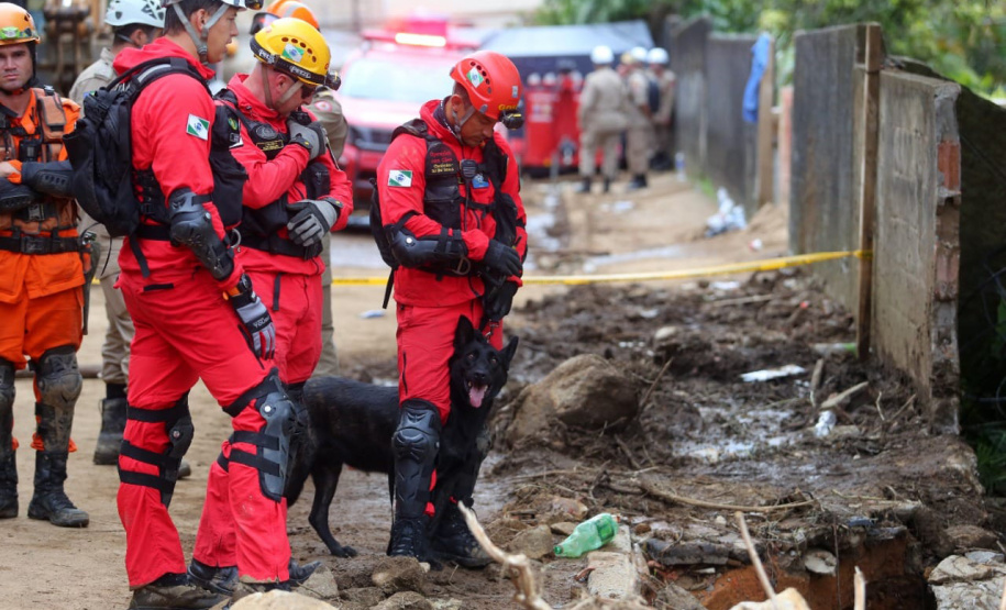 Paraná manda mais sete bombeiros e três cães para ajudar o Rio Grande do Sul