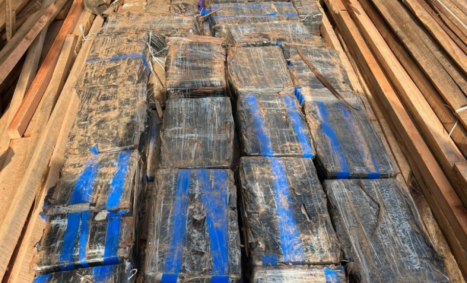 BPRV apreende 3 toneladas de maconha em operação no Norte do Paraná