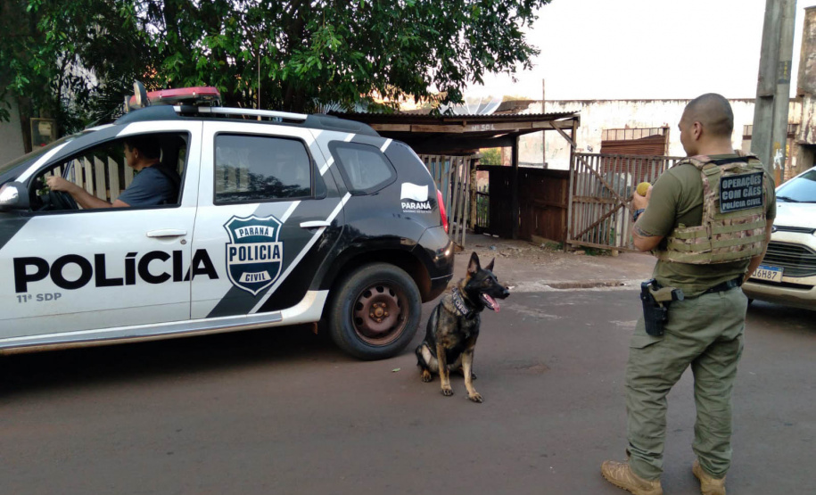 Batalhão de Polícia Rodoviária apreende 550 kg de maconha e recupera veículo roubado em Chopinzinho no Paraná