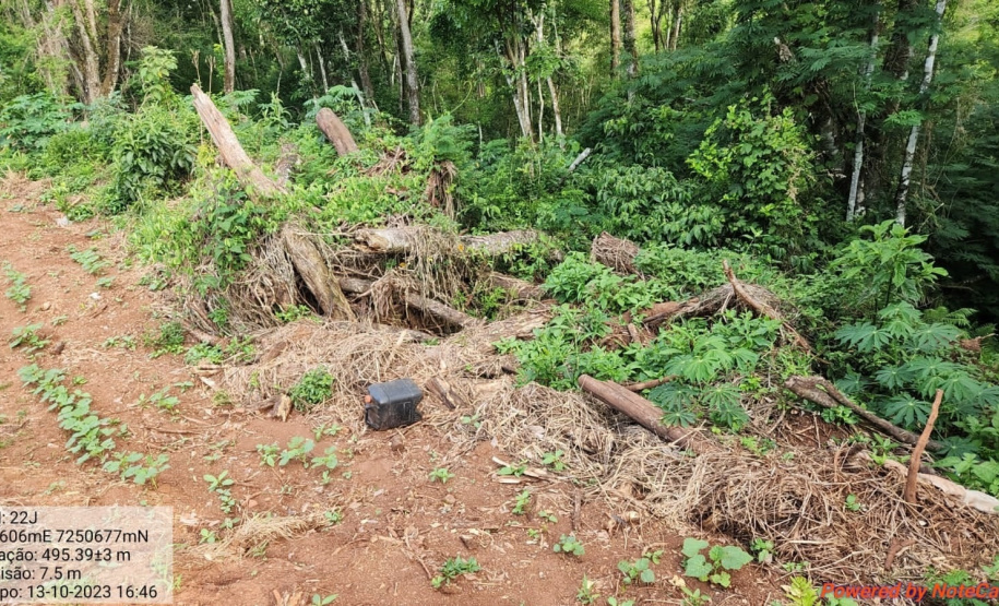 PM flagra crimes ambientais em Altamira do Paraná e Maringá
