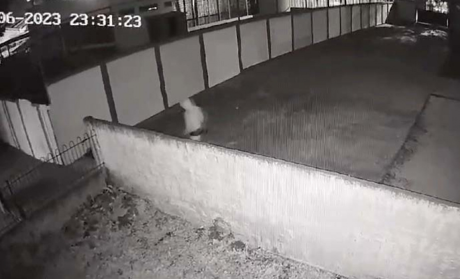 Polícia Civil prende suspeito de furtos em CMEIs de Curitiba