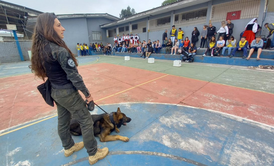 PCPR na Comunidade atende mais de 2,1 mil pessoas em Colombo e interior do Estado