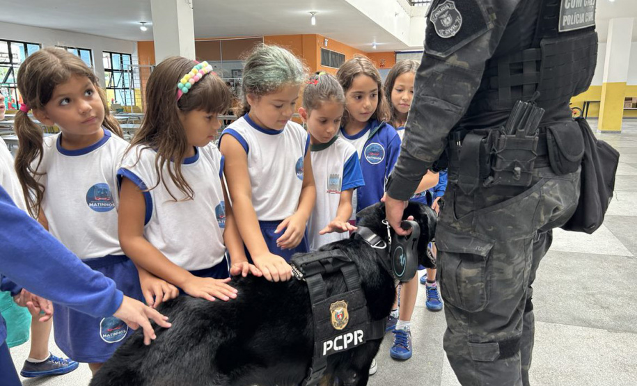 PCPR oferece serviços de polícia judiciária para população de Itaperuçu nesta semana