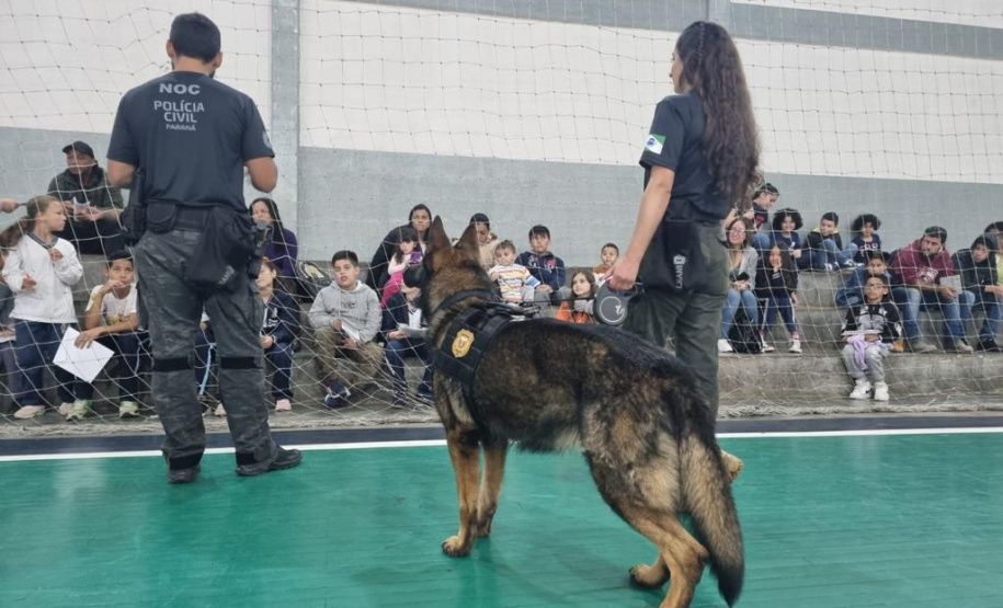 PCPR na Comunidade leva serviços de polícia judiciária para mais de 1,6 mil pessoas em Castro