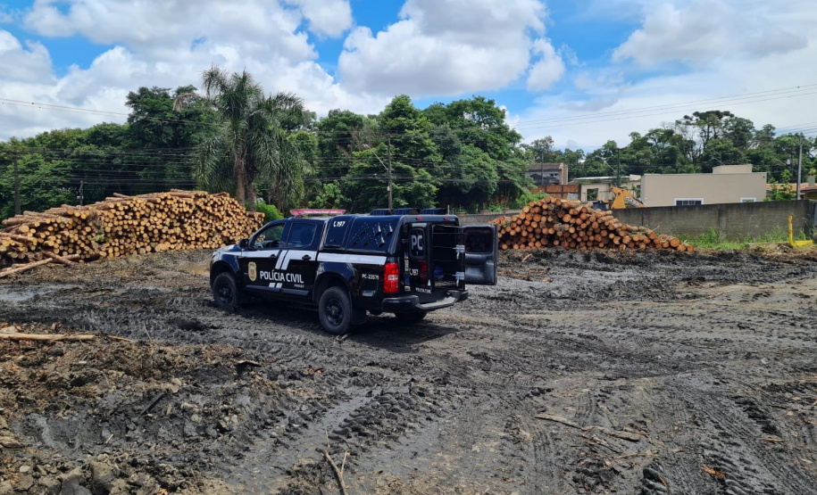 PCPR incinera 1 tonelada de drogas em Irati
