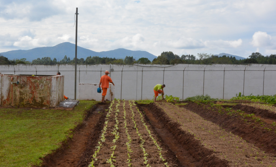 Paraná conclui ano com 240 novos canteiros de trabalho no sistema prisional