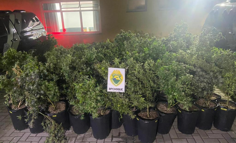 BATALHÃO DE CHOQUE DA PMPR APRESENTA BALANÇO DE PRISÕES E APREENSÕES EM 2023