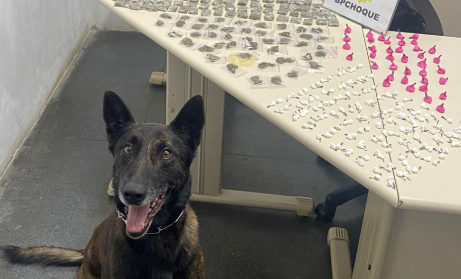 BATALHÃO DE CHOQUE DA PMPR APRESENTA BALANÇO DE PRISÕES E APREENSÕES EM 2023