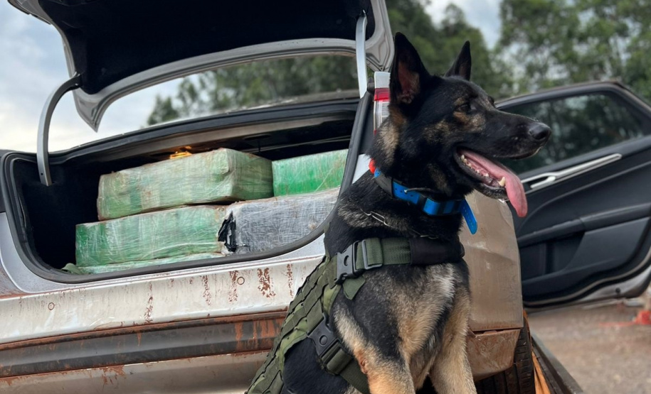 PMPR apreende 1,2 tonelada de drogas e 900 caixas de cigarros contrabandeados no oeste do Estado