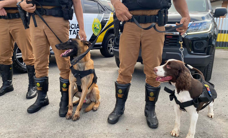 Operação preventiva integra forças de segurança no Litoral do Estado