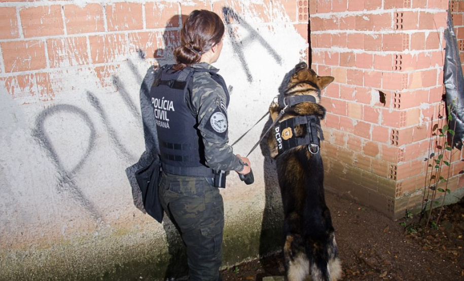 Ações com cães policiais da PCPR resultam na apreensão de 87% mais armas em 2023