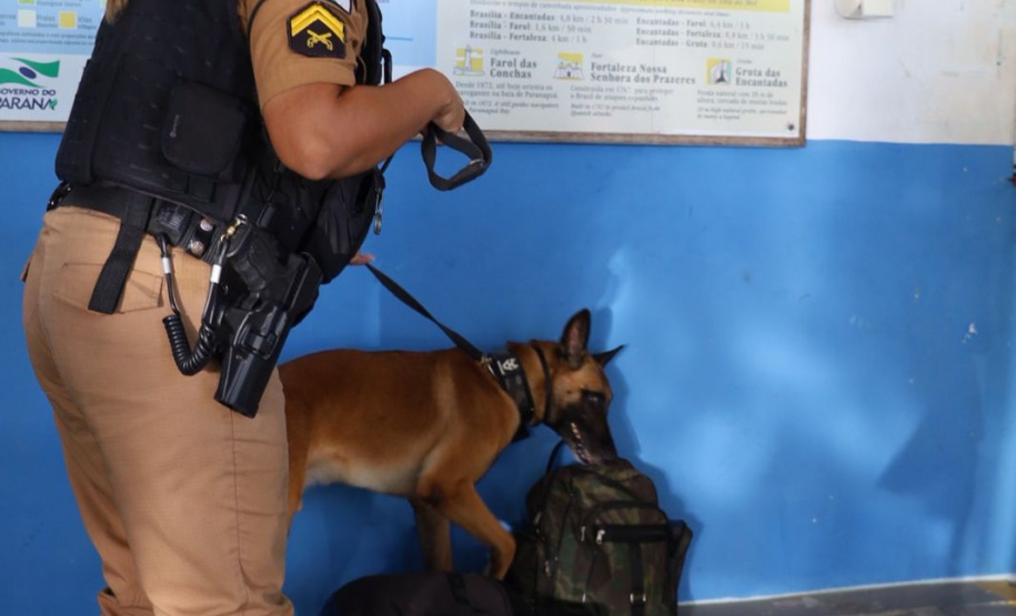 Forças de Segurança deflagram operação integrada preventiva e contra o crime