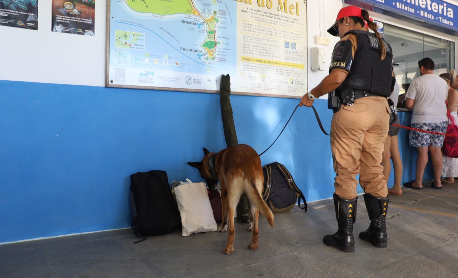 Forças de Segurança deflagram operação integrada preventiva e contra o crime