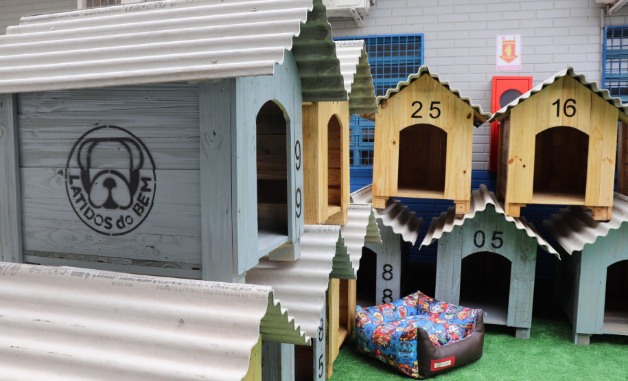 POLÍCIA PENAL - PROJETO PIPOCA