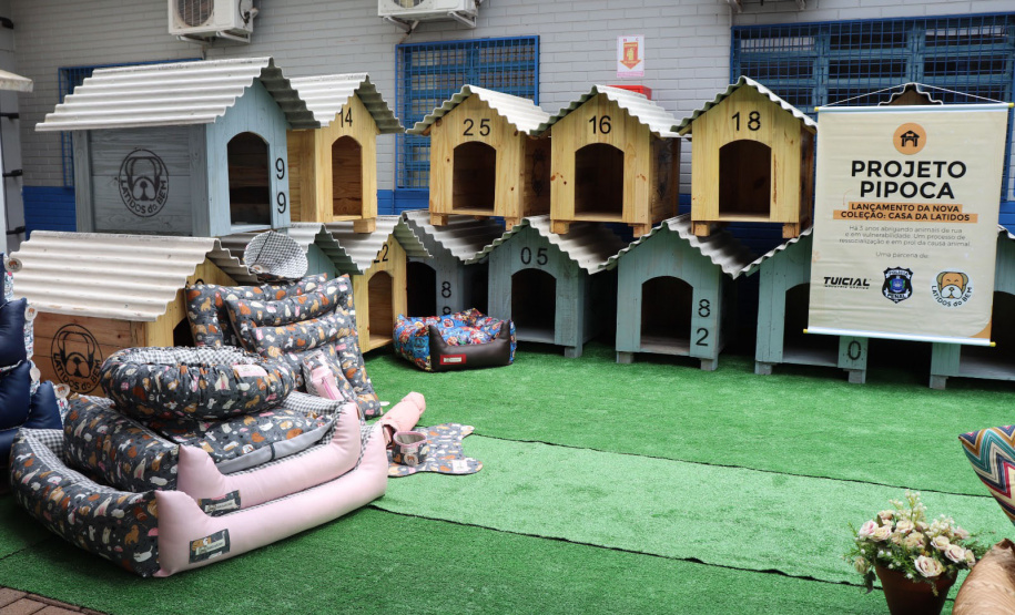 POLÍCIA PENAL - PROJETO PIPOCA