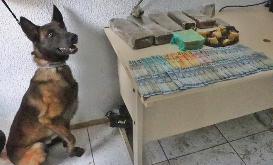 Forças de segurança cumprem 22 mandados de busca e apreensão no Litoral