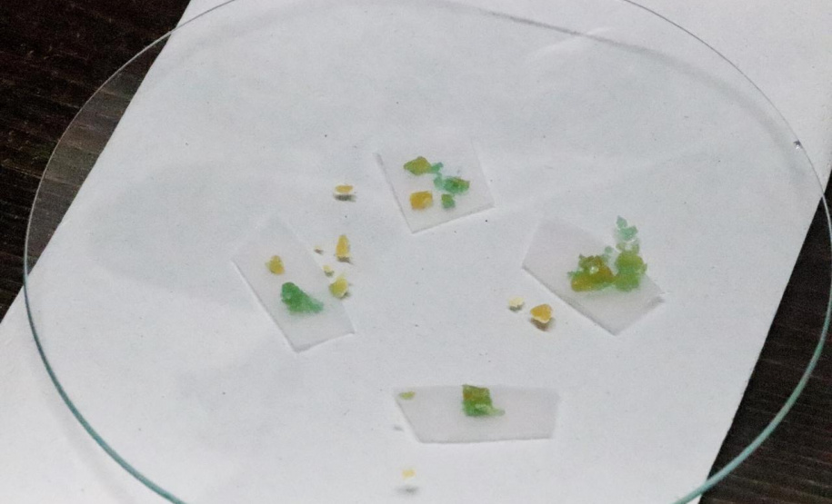 Forças de segurança cumprem 22 mandados de busca e apreensão no Litoral