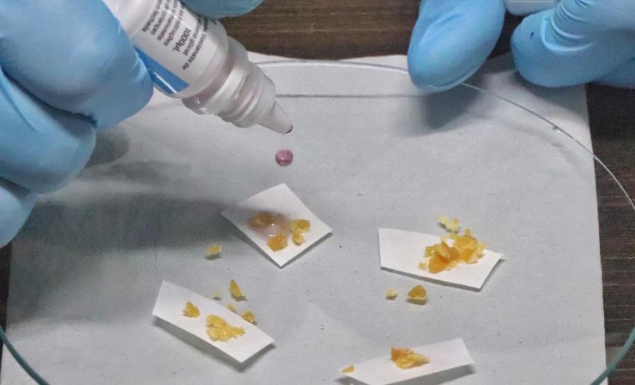 Forças de segurança cumprem 22 mandados de busca e apreensão no Litoral