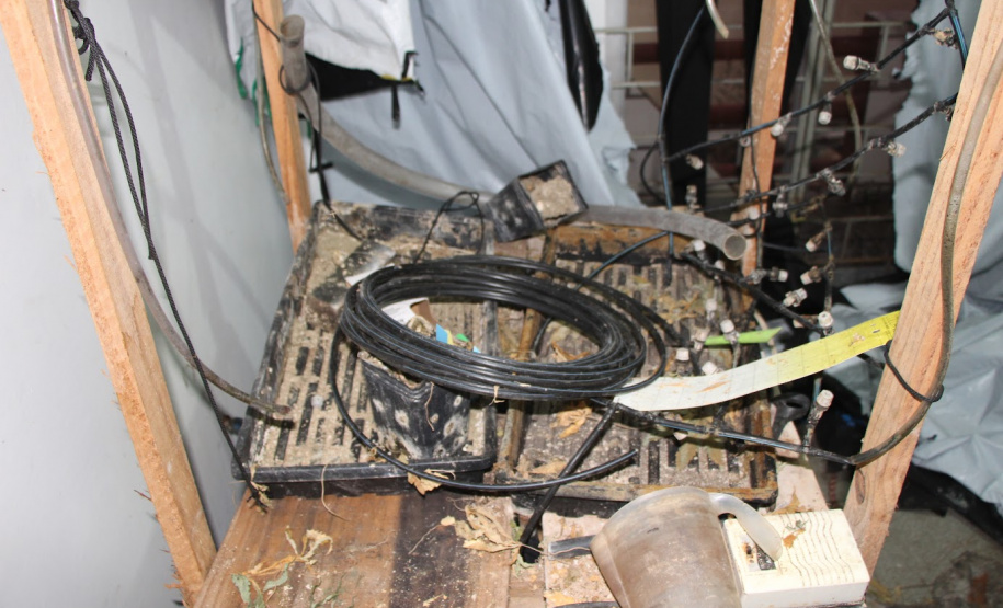 Operação integrada prende seis pessoas em flagrante e apreende drogas no Litoral