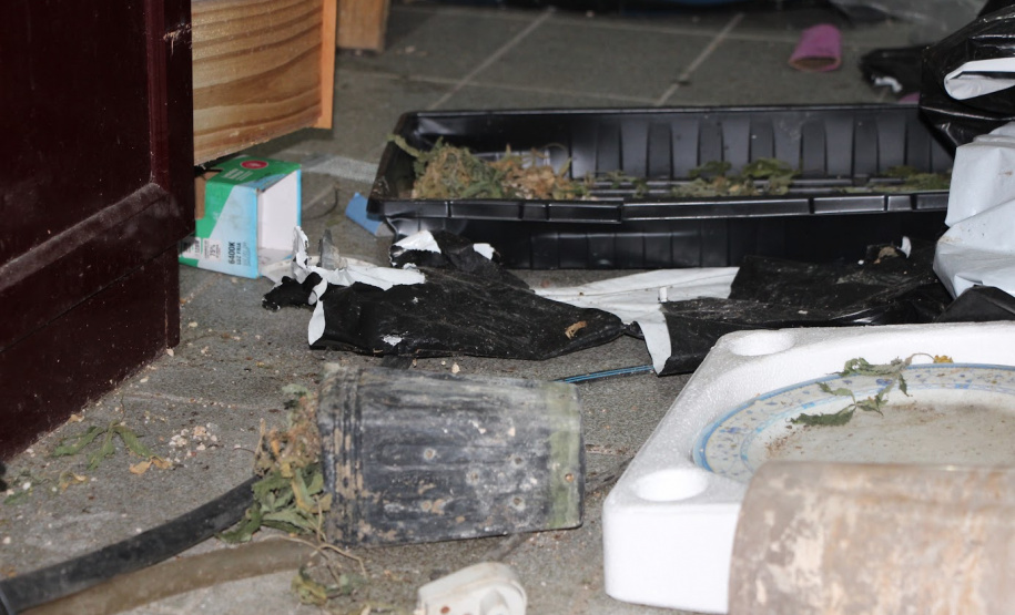 Operação integrada prende seis pessoas em flagrante e apreende drogas no Litoral