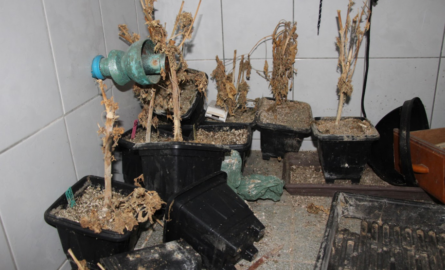 Operação integrada prende seis pessoas em flagrante e apreende drogas no Litoral