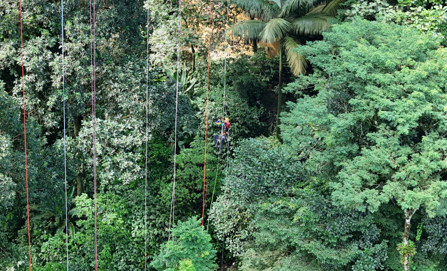 Bombeiros do Paraná têm melhor colocação entre sul-americanos no Grimpday