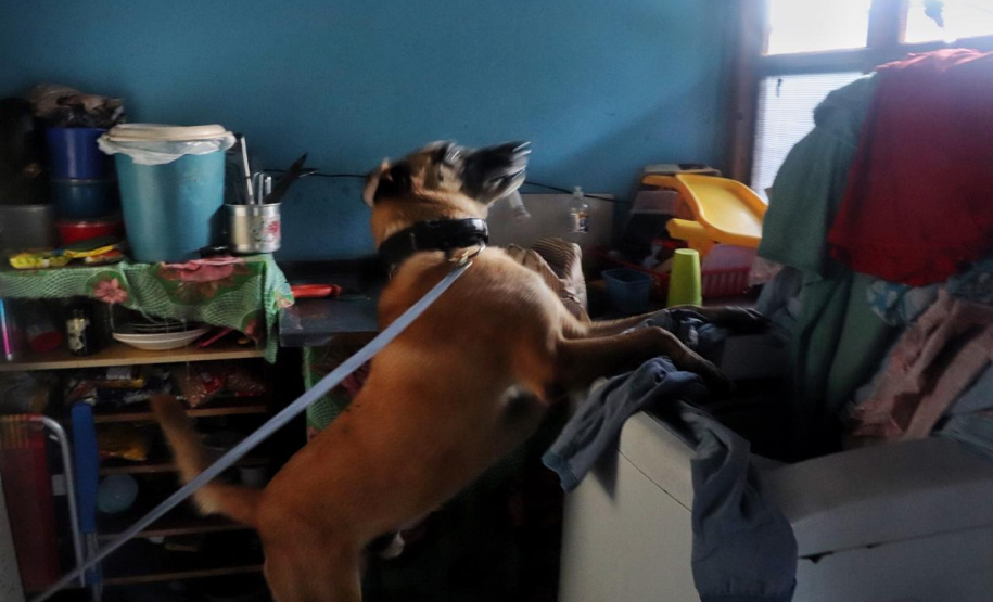 Forças de segurança cumprem 22 mandados de busca e apreensão no Litoral