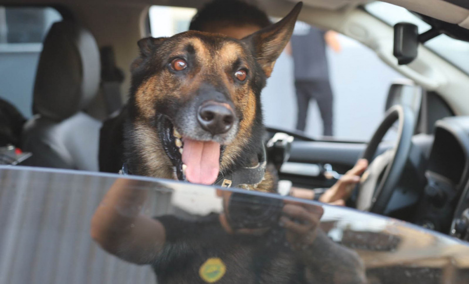 Forças de segurança prendem 36 membros de organização criminosa de Quedas do Iguaçu