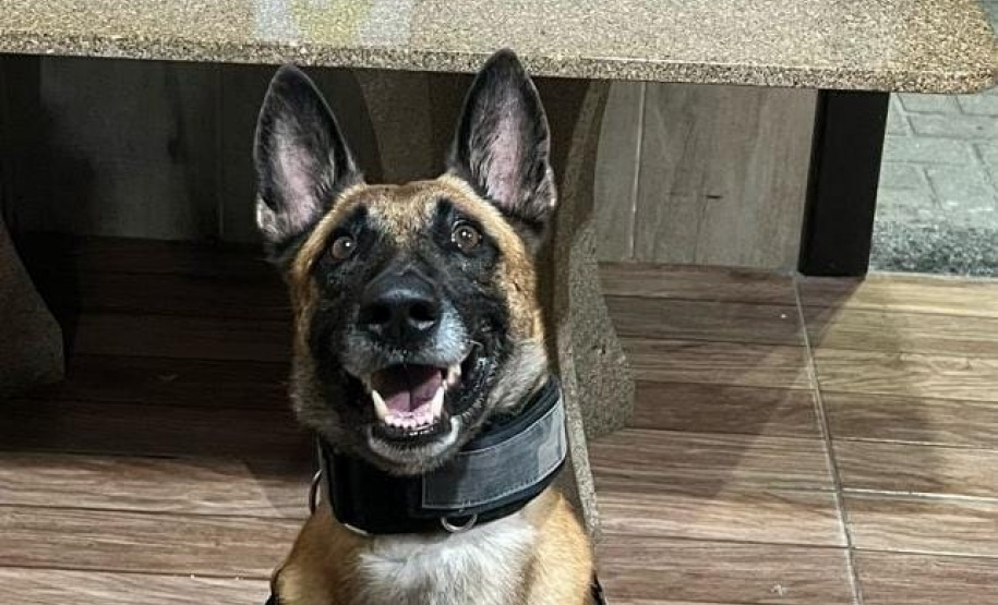 PMPR prende casal que transportava drogas para o Litoral